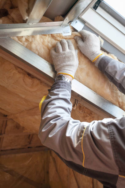 Types of Insulation We Offer in Avondale, LA