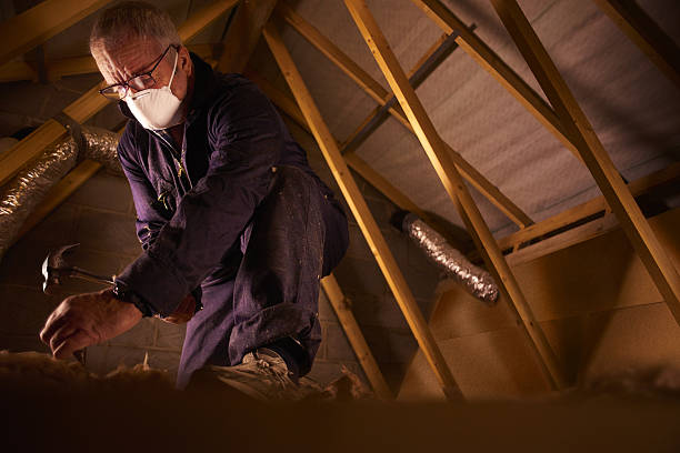 Types of Insulation We Offer in Avondale, LA